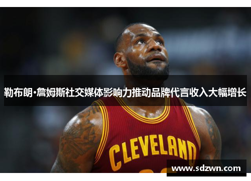 勒布朗·詹姆斯社交媒体影响力推动品牌代言收入大幅增长 勒布朗·詹姆斯社交媒体影响力推动品牌代言收入大幅增长