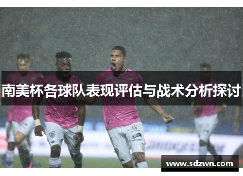南美杯各球队表现评估与战术分析探讨