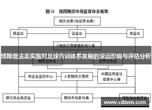 博斯曼法案实施对足球青训体系发展的深远影响与评估分析