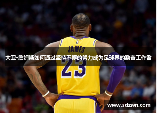 大卫·詹姆斯如何通过坚持不懈的努力成为足球界的勤奋工作者 大卫·詹姆斯如何通过坚持不懈的努力成为足球界的勤奋工作者
