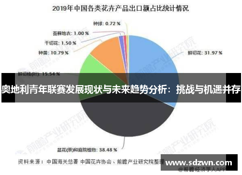 奥地利青年联赛发展现状与未来趋势分析:挑战与机遇并存 奥地利青年联赛发展现状与未来趋势分析:挑战与机遇并存