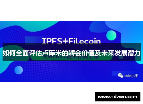 如何全面评估卢库米的转会价值及未来发展潜力