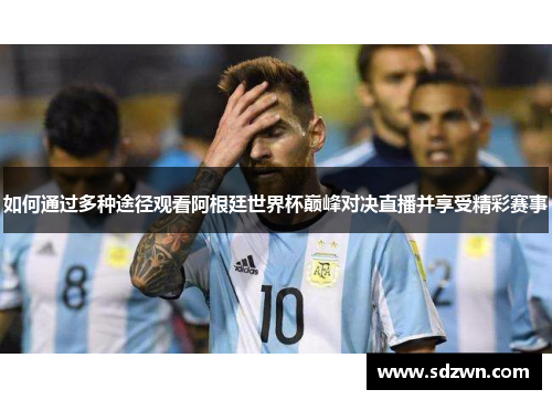 如何通过多种途径观看阿根廷世界杯巅峰对决直播并享受精彩赛事